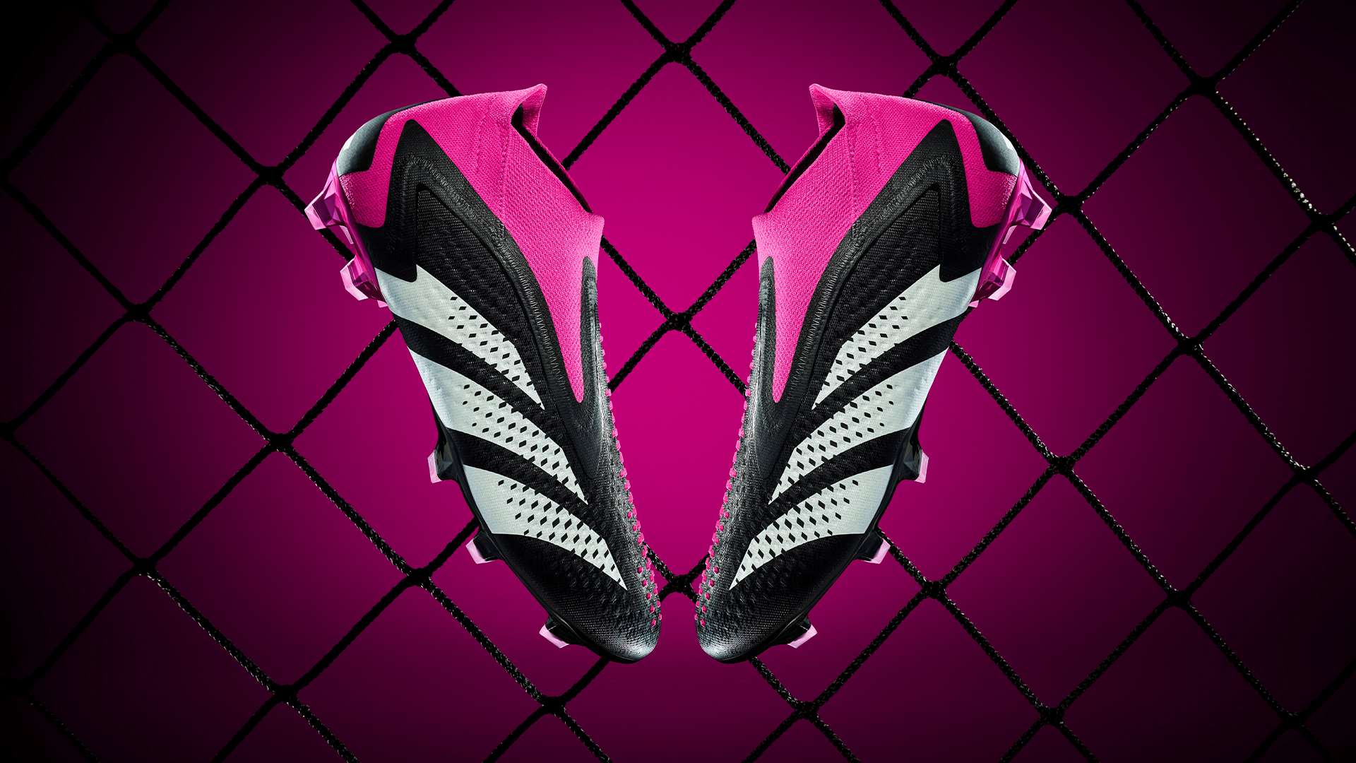 是成长的必 是成长的必