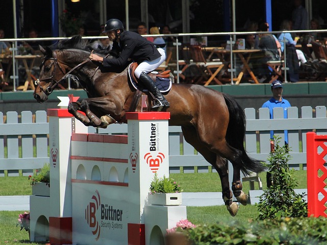 他凭借自身 他凭借自身